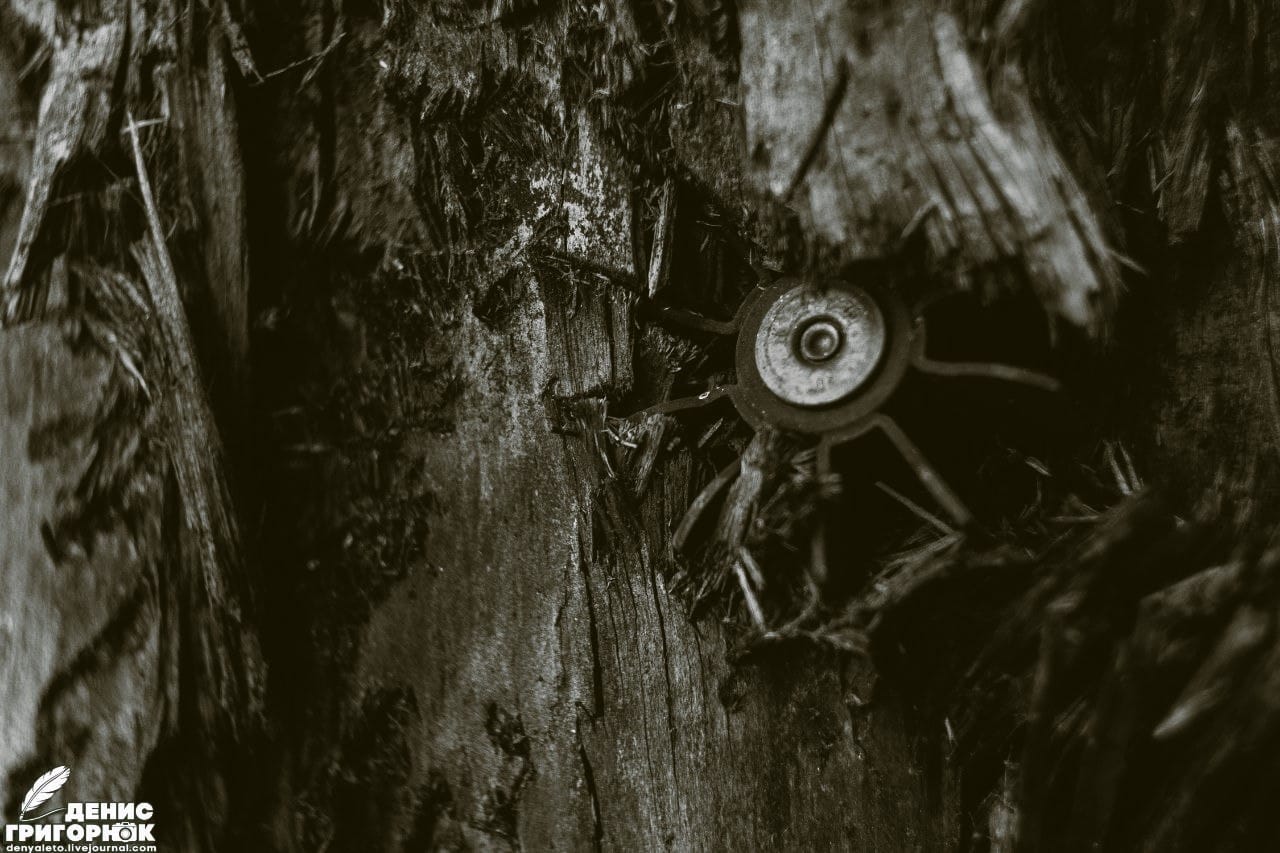 Foto del autor del artículo